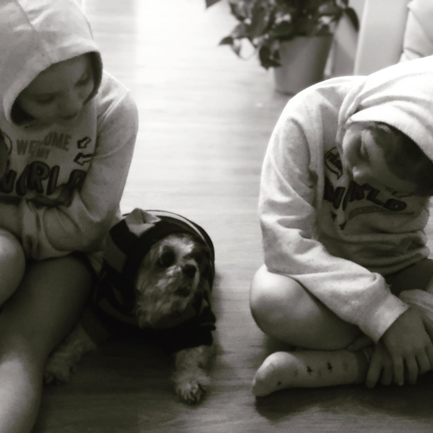 Instagram Photo von Twins